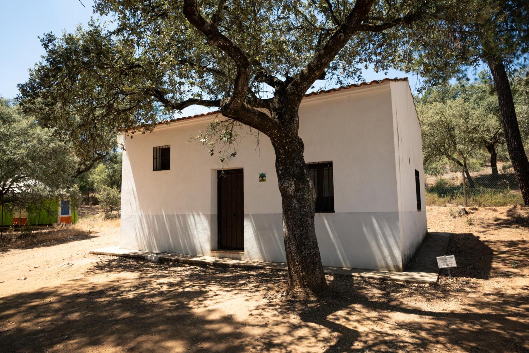 Bungalows Camping Jimmy Jones Villaviciosa de Córdoba Eksteriør billede